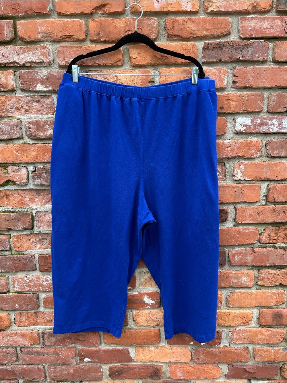 Catherines Suprema Bright Royal Blue Cropped Knit Pants 4X Pull On Cotton Blend